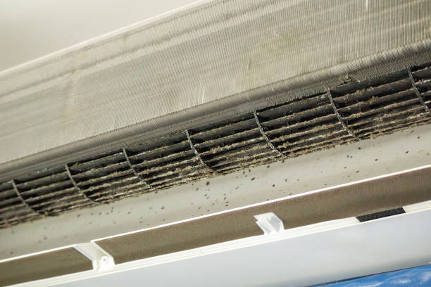 Best HVAC Duct Inspection Services  in Burnt Mills, MD